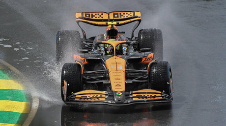 Gran Premio del Brasile, qualifiche: Norris in pole