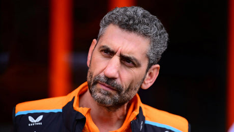 Andrea Stella elogia la guida di Norris a Zandvoort