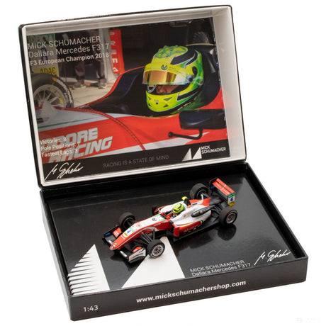 1:43, Mick Schumacher Dallara Mercedes F317 F3 European Champion 2018 Modello di automobile - FansBRANDS®