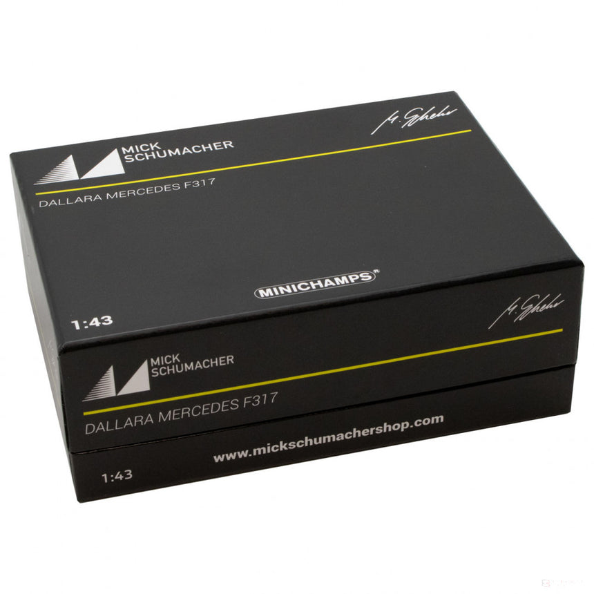 1:43, Mick Schumacher Dallara Mercedes F317 F3 European Champion 2018 Modello di automobile - FansBRANDS®