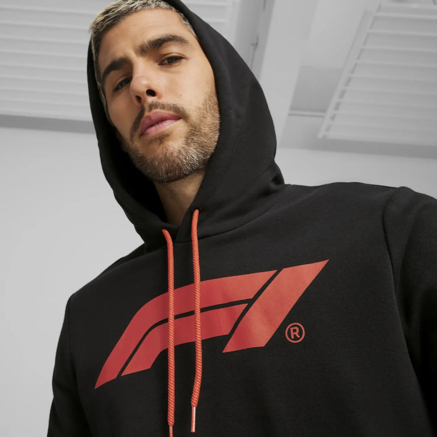Formel 1 ESS Logo Hoodie 🔥