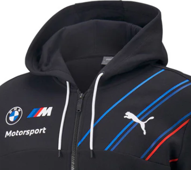 Puma BMW Squadra Felpa , 2022, Antracite