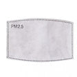 PM2.5 Activated Carbon Filter Mouth Mask Filters - FansBRANDS®