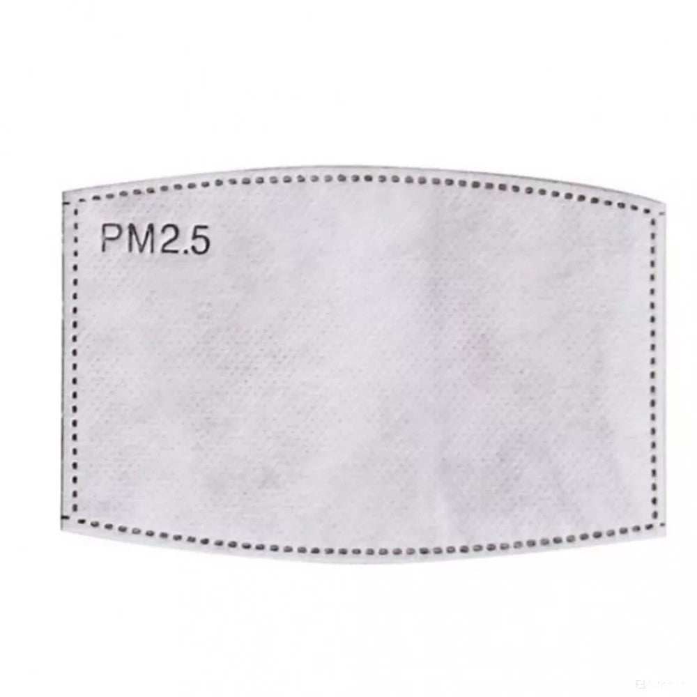 PM2.5 Activated Carbon Filter Mouth Mask Filters - FansBRANDS®