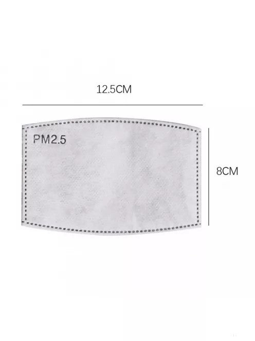 PM2.5 Activated Carbon Filter Mouth Mask Filters - FansBRANDS®