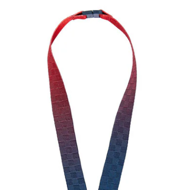 Red Bull Racing Cordino, 2021