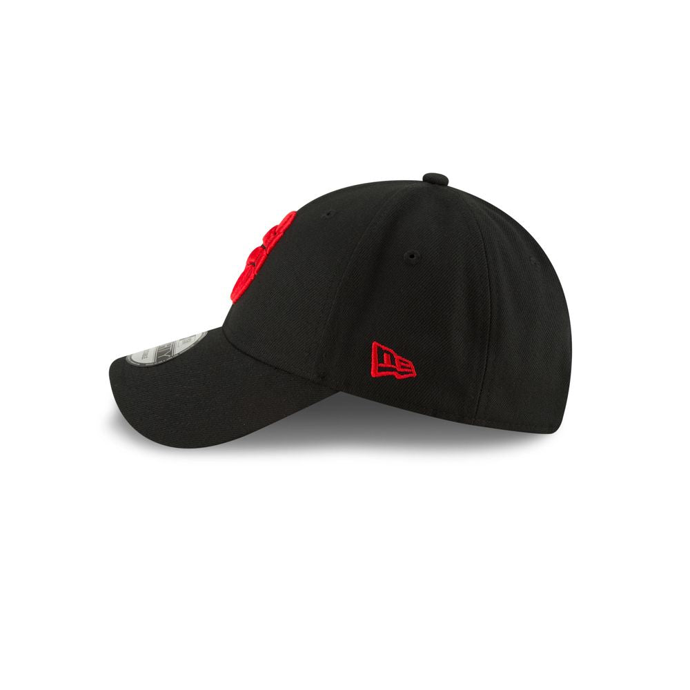 NBA Toronto Raptors Cappellino Team